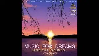 040  DJ H8   Intro    Ambient Sounds