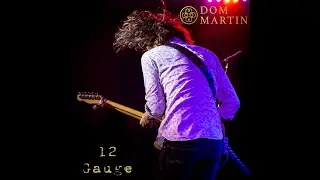 Dom Martin -12 Gauge