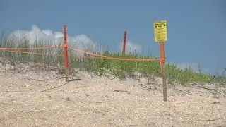Beach renourishment underway in Vilano Beach