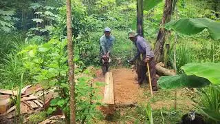 Logging Life: Precision Slicing Large Logs for Lumber _FarmersLife _Shorts