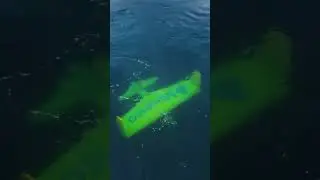This water turbine looks like an underwater drone