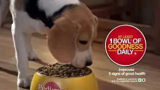 Pedigree Feed the Good