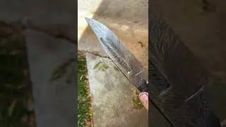 Feather Damascus