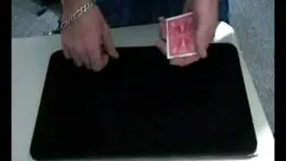 Color Monte