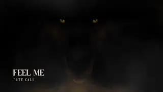 Late Call - Feel Me (Official Music Video)