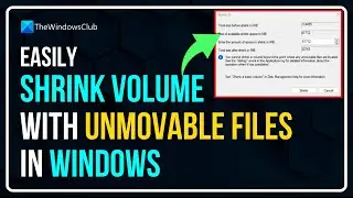 How to shrink volume with unmovable files in windows