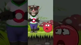 Talking tom Phase 6 & Nob's world hammer #redball