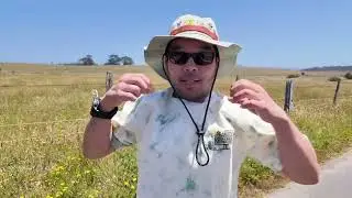 Ep2. Princess seafood, Ocean Cove campground, Jenner, California in this roadside