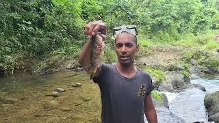 Pesca con Arpón en este río de agua cristalina
