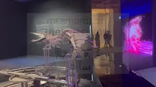 Captivating Stage Performances and Artistic Displays #performanceart #stagetricks #visualart