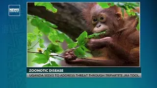 Zoonotic Disease: Uganda Seeks To Address Threat Trough Tripartite JRA Tool