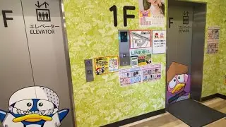 【三菱製】MEGAドンキホーテ徳島店🌈上りエレベーター英語でアナウンスあり