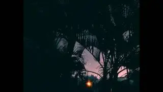 SaneBeats - Tarzana