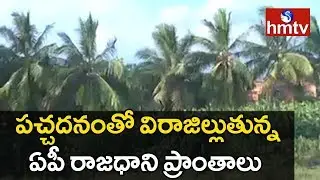 Special Report On Crops In AP Capital villages | hmtv