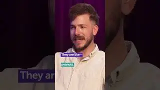 The 
