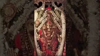 Kateelu shri durgaparameshwari Amma 🙏🌺🙇#kateeltemple #durgaparameshwari #shorts