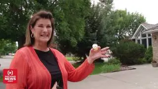 Cupcake-loving pet peacock escapes from Idaho Falls yard