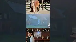 Barkerville feels!