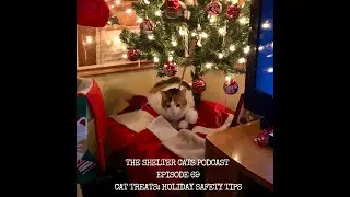 Episode 69: Cat Treats: Holiday Safety Tips!