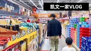 【VLOG#40】多伦多生活｜逛中超｜登打士广场｜多伦多标志｜房车装修新进展｜加拿大日常生活Vlog