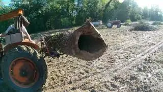 Au bois saison 2024-2025 part 3.