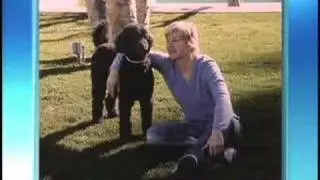 Modern Dog on Ellen!