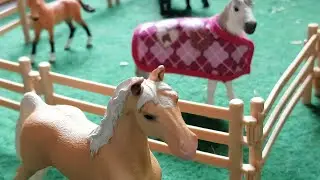 Schleich Pferde allein zu Hause!😂❤️ Happy Horse