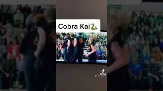 Cobra kai Tournament Tiktok #shorts