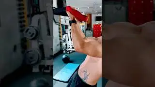 Бицепс с TRX.