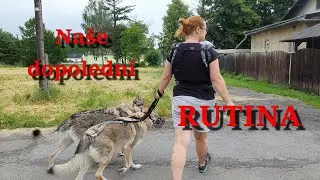 Naše dopolední rutina