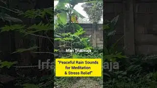 Peaceful Rain Sounds for Meditation & Stress Relief