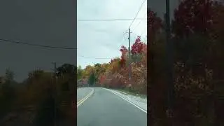 Beautiful Fall colors in Canada 🇨🇦 #shorts