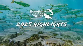 BTT in 2025: Program Highlights
