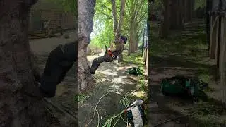 Tree Surgeon video