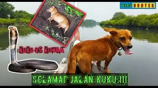 R.I.P KUKU.||😭🥺❗SEMUA MENANGIS KUKU TELAH TIADA...❗❗❗