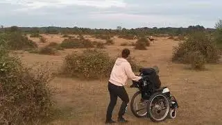 Camping with wheelchair user in New Forest UK