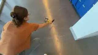 Bioinspired Robotics
