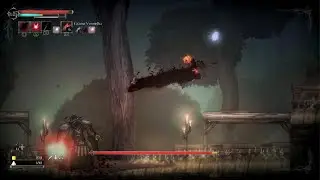 Salt and Sanctuary mago bad