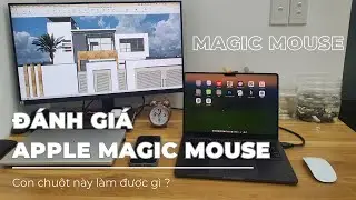 Apple Magic Mouse Experience Review