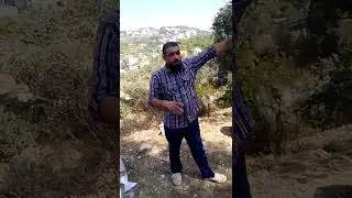 اكتشاف علمي جديد في علاج الفاروا والنوزيما