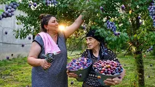 СОБИРАЕМ МНОГО СЛИВ! и Делаем Натуральный Сок, Джем и Кекс