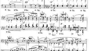Juliusz Zarębski - Les Roses et Les &Eacute;pines (R&oacute;że i ciernie), op.13 - I - Andante con moto