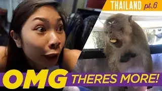 Phi Phi Island Hopping + Fish Spa First Timer! | Thailand Vlog #6 | miahnicolette