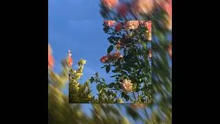 Not Giving You Up - BTR(sped up)