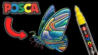 POSCA Marker Butterfly Drawing Tutorial