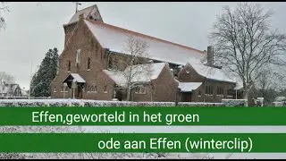 Effen geworteld in het groen (winterclip)