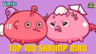 🏆 SHRIMP BIRD & GOD BUG HIGH RANKS |  LUNACIAN CODE: BLUEBIRD | AXIE CLASSIC V2 GAMEPLAY