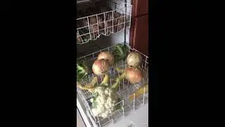 Cleaning fruits/vegetables in Dishwasher during Coronavirus