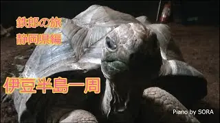 #38【鉄郎の旅】伊豆半島一周　静岡県編