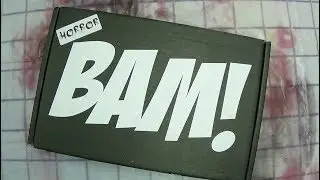 BAM BOX HORROR November 2017: EmGo's Bam Box Reviews N' Stuff
